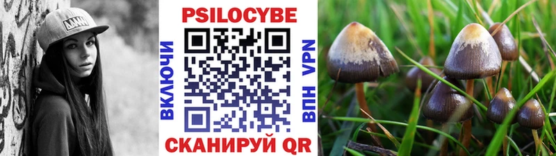 Галлюциногенные грибы Magic Shrooms  даркнет сайт  hydra ONION  Кольчугино 